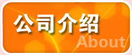 公司介绍