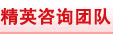 精英咨询团队
