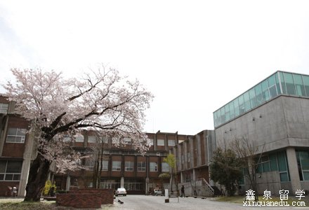 金泽美术工艺大学设有美术工艺学部(日本画专攻,油画专攻,雕刻专攻