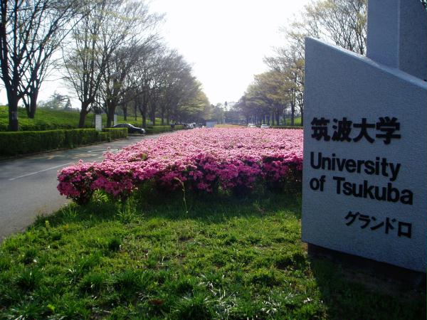 日本筑波大学系统情报工学专业申请条件
