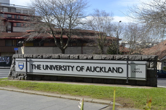 新西兰奥克兰大学会计硕士申请条件及案例