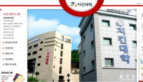 韩国＂炸鸡大学＂真实存在 30多名博硕士研发新口味