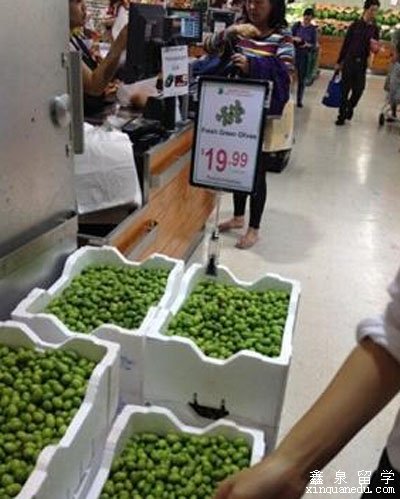 青橄榄