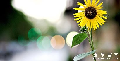 <a data-cke-saved-href='http://www.xinquanedu.com/yingguo/' href='http://www.xinquanedu.com/yingguo/' target='_blank' class='newsnullaclass'>英国<a data-cke-saved-href='http://www.xinquanedu.com' href='http://www.xinquanedu.com' target='_blank' class='newsnullaclass'>留学</a></a>生选择offer常进的误区