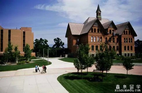 Montana State University蒙大拿州立大学