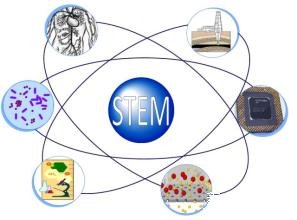 美国STEM专业