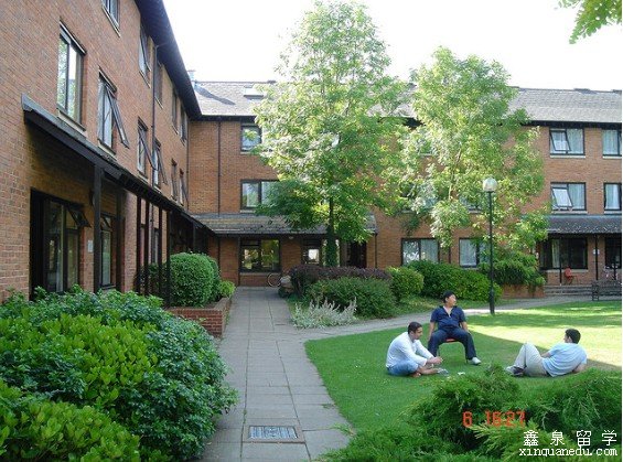 英国白金汉大学本科申请条件