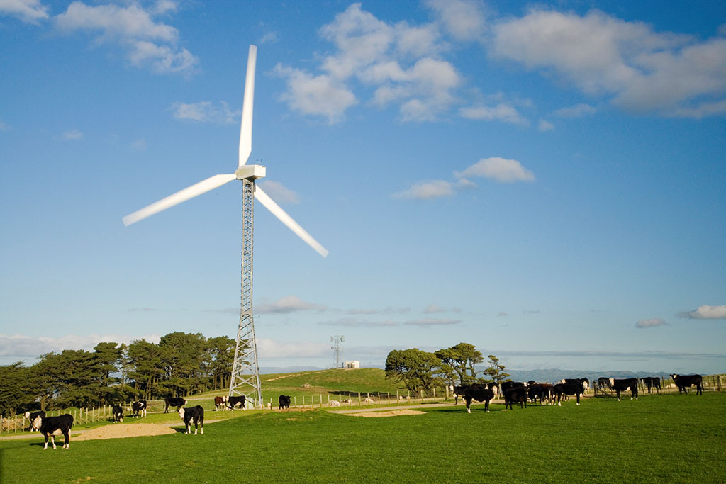 新西兰学位介绍 新西兰学位介绍