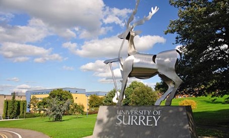 英国萨里大学国际金融管理硕士申请条件