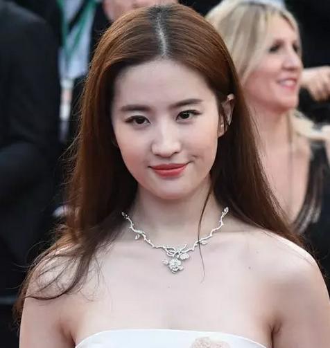 戛纳电影节红毯女星学历
