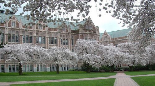 华盛顿大学西雅图分校会计本科申请条件