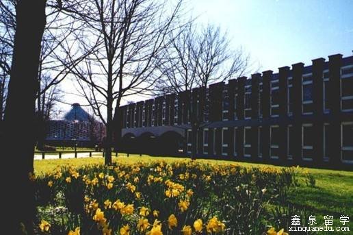 英国萨塞克斯大学国际物流管理专业硕士申请条件