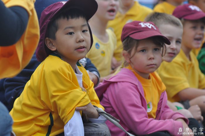 澳洲小学申请条件