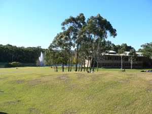 麦考里大学一角