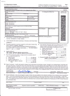 ������ţ��