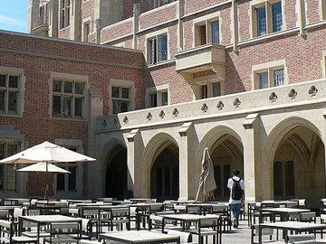 纽约大学